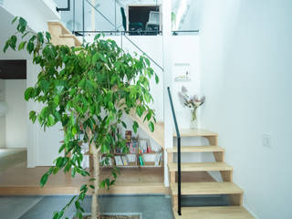 木と共生する家, 建築設計事務所 KADeL 建築設計事務所 KADeL Modern Corridor, Hallway and Staircase
