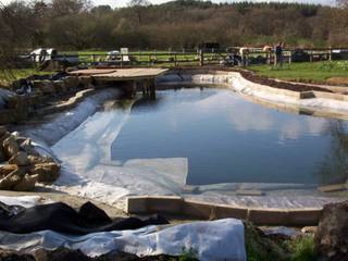 An Amazing Yet Informal Swimming Pond, Water Garden Ltd Water Garden Ltd 池