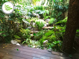 JARDIN SEMISELVATICO-COYOACAN, Once creativos Once creativos Tropical style garden