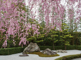 jardin japonais, Jardin Solaire Paysagiste jardin zen et feng shui Jardin Solaire Paysagiste jardin zen et feng shui Jardin zen