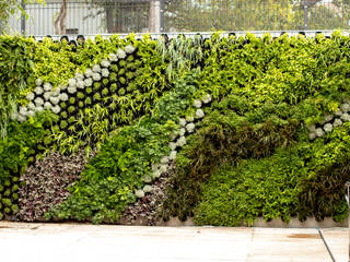 Outdoor Vertical Garden in Bishopscourt Driveway , Living Green Walls Living Green Walls Стіни