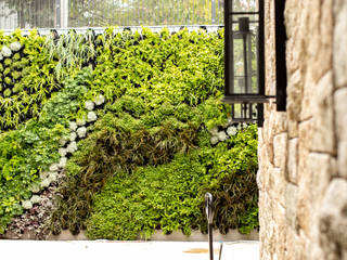 Outdoor Vertical Garden in Bishopscourt Driveway , Living Green Walls Living Green Walls Paredes y pisos de estilo tropical