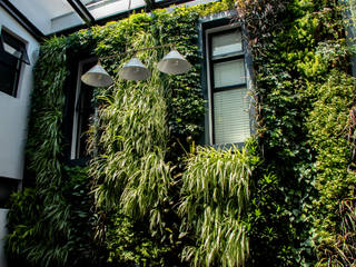 Indoor Vertical Garden in Conservatory, Living Green Walls Living Green Walls Tropical style conservatory