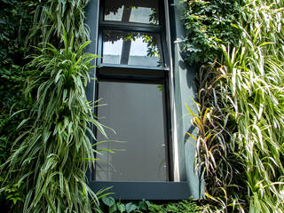 Indoor Vertical Garden in Conservatory, Living Green Walls Living Green Walls بيت زجاجي