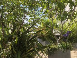 Superbe aménagement paysager sur un rooftop parisien, L'Aurey Des Jardins L'Aurey Des Jardins 露臺