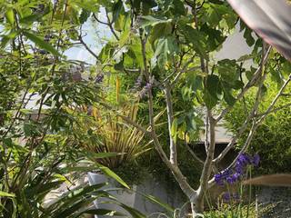 Superbe aménagement paysager sur un rooftop parisien, L'Aurey Des Jardins L'Aurey Des Jardins 露臺