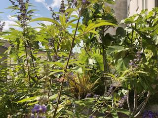 Superbe aménagement paysager sur un rooftop parisien, L'Aurey Des Jardins L'Aurey Des Jardins 露臺