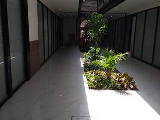 Jardinera interior consultorios 225, IDEAL Jardinería IDEAL Jardinería Espacios comerciales