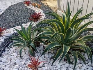 Terraza suculenta, Jardinería Gálvez Jardinería Gálvez Espacios comerciales