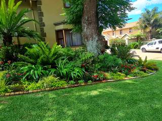 Tropical pavement garden, Young Landscape Design Studio Young Landscape Design Studio Jardines en la fachada