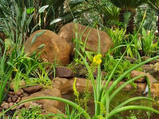 New pond installation, Young Landscape Design Studio Young Landscape Design Studio บ่อน้ำในสวน