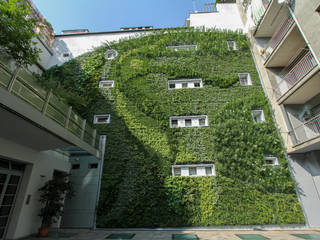 La Stagionalità dei nostri Giardini Verticali Esterni, Sundar Italia - Giardini Verticali Sundar Italia - Giardini Verticali Walls