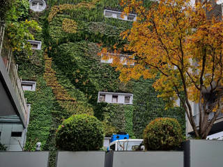 La Stagionalità dei nostri Giardini Verticali Esterni, Sundar Italia - Giardini Verticali Sundar Italia - Giardini Verticali Walls