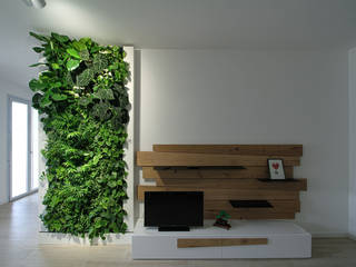 Giardino Verticale Appartamento Privato, Sundar Italia - Giardini Verticali Sundar Italia - Giardini Verticali Walls
