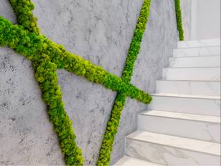 Schallschutz und Akzentwand - Mooswand im Büro, naturewalls® naturewalls® Modern Study Room and Home Office