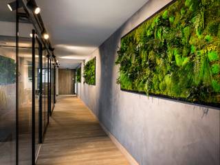 Moosbilder im Büro - Pflegefreie Highlights der Natur, naturewalls® naturewalls® Study/office