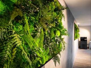 Moosbilder im Büro - Pflegefreie Highlights der Natur, naturewalls® naturewalls® Study/office