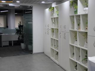 Interioforest helped an organization to come alive, Interioforest Plantscaping Solutions Interioforest Plantscaping Solutions Moderne studeerkamer