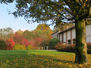 Foliage, MASSIMO SEMOLA Architettura del Verde MASSIMO SEMOLA Architettura del Verde Podwórko