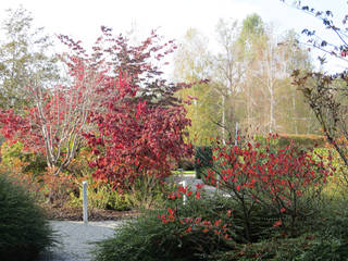 Foliage, MASSIMO SEMOLA Architettura del Verde MASSIMO SEMOLA Architettura del Verde Giardino anteriore