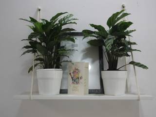 Green Office Project, Interioforest Plantscaping Solutions Interioforest Plantscaping Solutions Moderne Arbeitszimmer