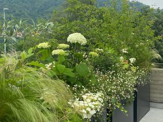 Un giardino in vaso , The Private Gardener The Private Gardener アプローチ