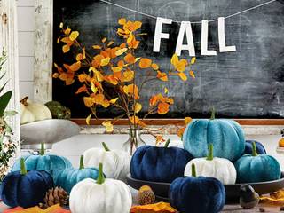 Pumpkin autumn decoration Blue, press profile homify press profile homify Weitere Zimmer