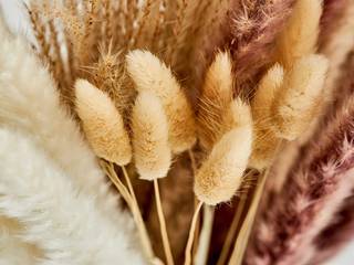 Pampas Grass, Press profile homify Press profile homify Otros espacios