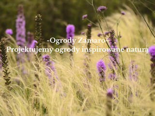 Ogrody inspirowane naturą, Ogrody Zamaro Ogrody Zamaro Jardines con piedras