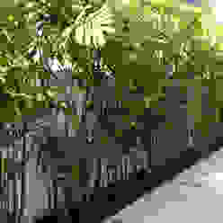 7 detalles para una pared tropical, Jardineria 7 islas Jardineria 7 islas Jardines de estilo tropical Planta,Flor,Botánica,Vegetación,Arecales,Planta terrestre,Planta leñosa,Árbol,Cielo,Arbusto