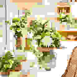 Frisches Interieur mit der Chrysantheme , Tollwasblumenmachen.de Tollwasblumenmachen.de Ruang Keluarga Modern Accessories & decoration