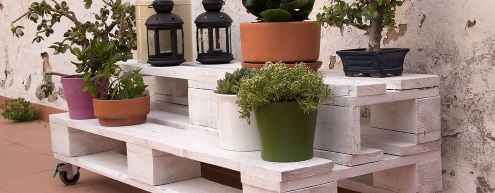 Con menos de 1000 pesos: ¡ideas para arreglar tu jardín ya!