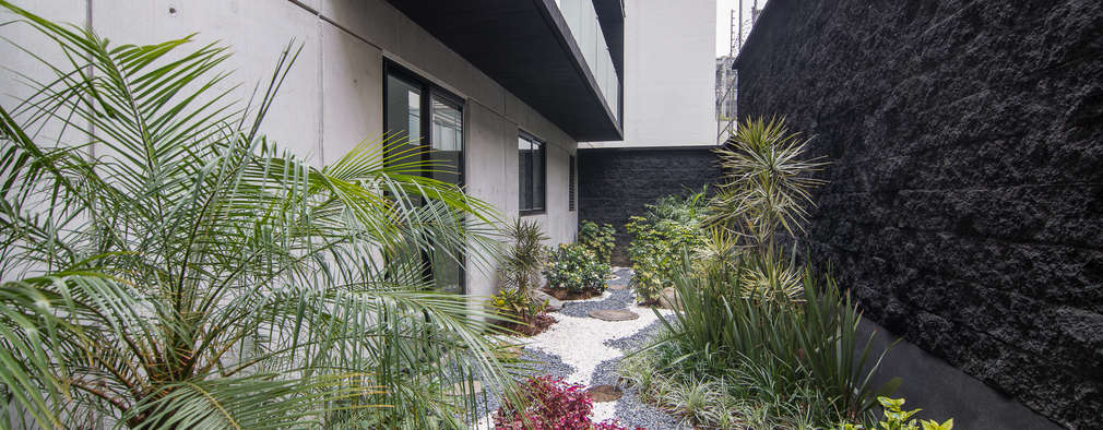 10 ideas para arreglar tu jardÃn con menos de 1000 pesos