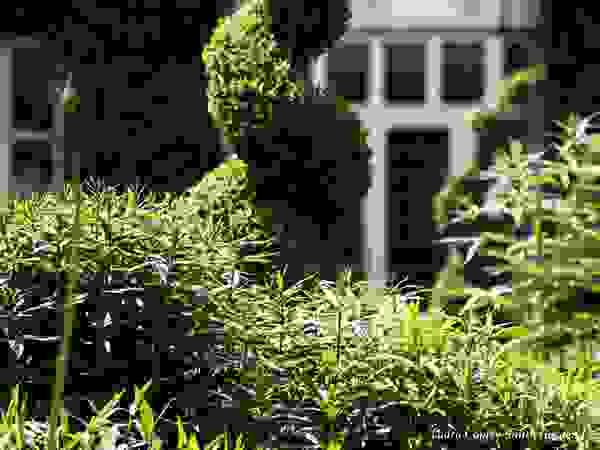 Traditional & Classic Garden Landscape Design Classic style garden