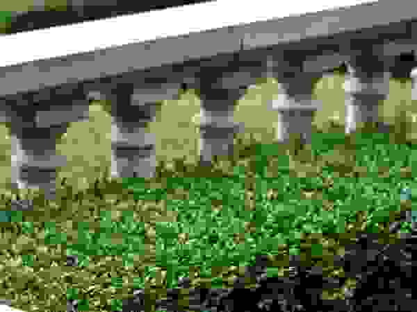 Traditional & Classic Garden Landscape Design Classic style garden