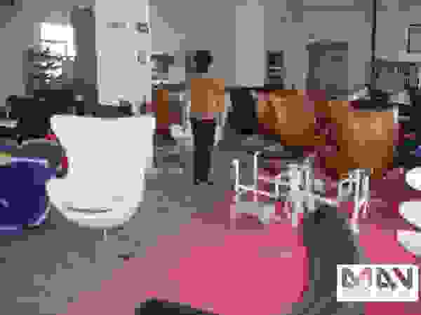 MAV Furniture Co.,ltd Interior landscaping