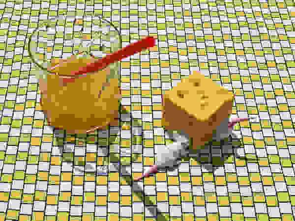 décoratoire KitchenAccessories & textiles