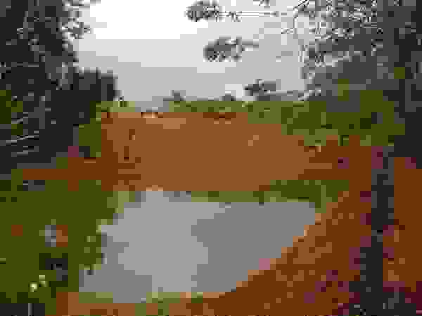 Paisajismo Digital Country style garden