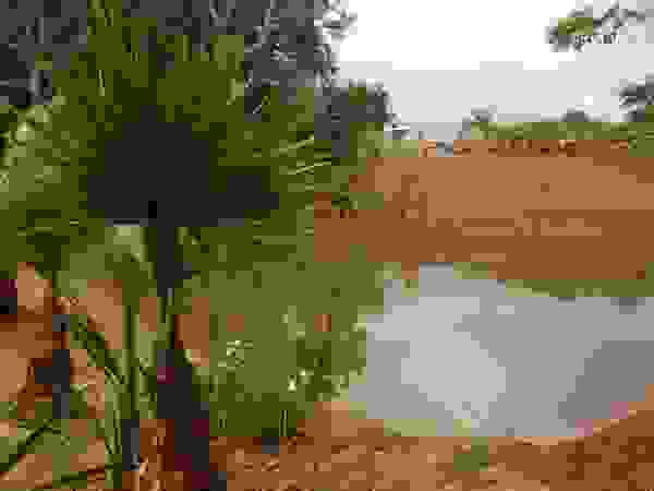 Paisajismo Digital Country style garden