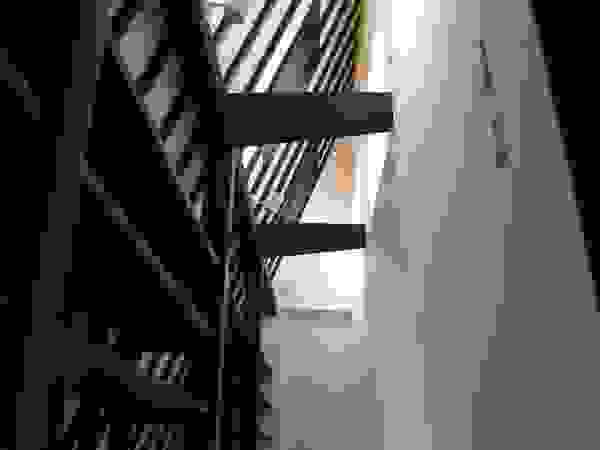 アースワーク建築設計事務所 Interior landscaping