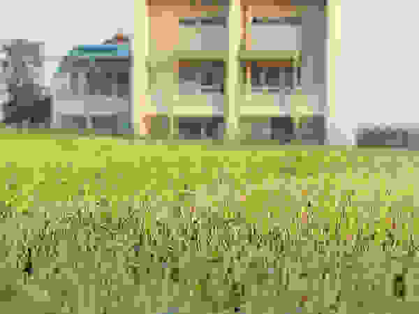 Dittongo architetti Будинки