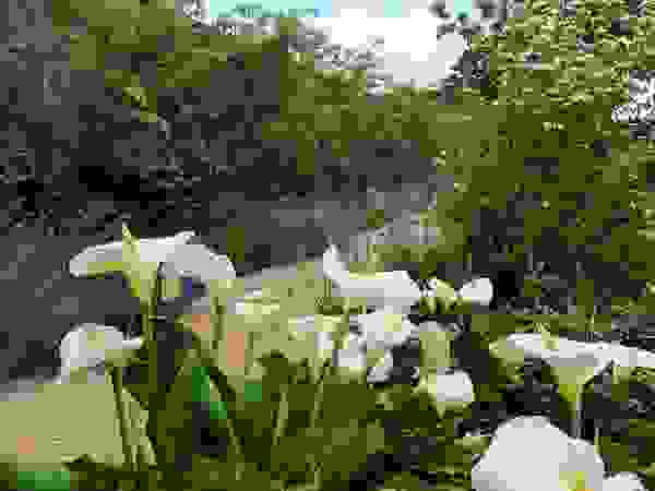 Walled Garden, Bradford Upon Avon Katherine Roper Landscape & Garden Design Taman Modern