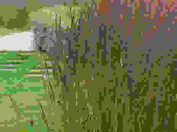 Walled Garden, Bradford Upon Avon Katherine Roper Landscape & Garden Design Taman Modern