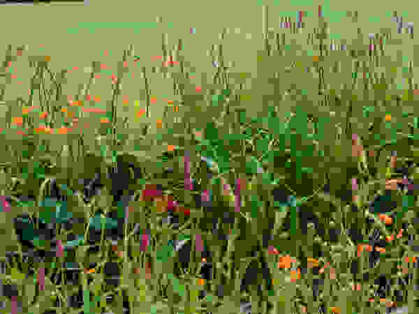 Walled Garden, Bradford Upon Avon Katherine Roper Landscape & Garden Design Taman Modern