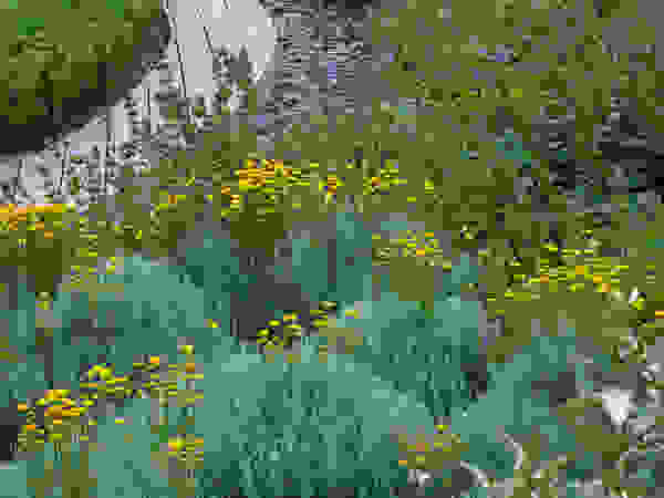 Walled Garden, Bradford Upon Avon Katherine Roper Landscape & Garden Design Taman Modern
