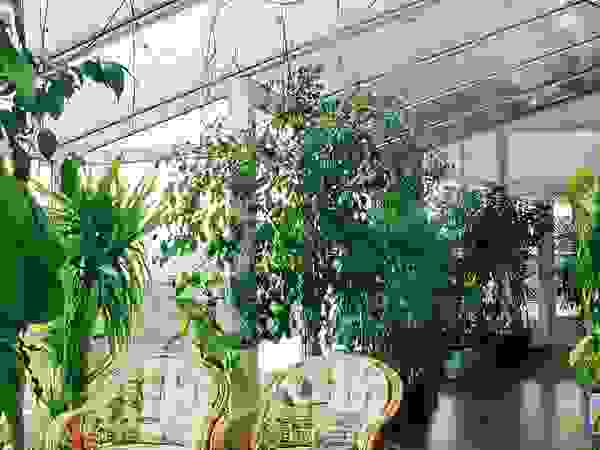 Архитектор Владимир Калашников Classic style garden
