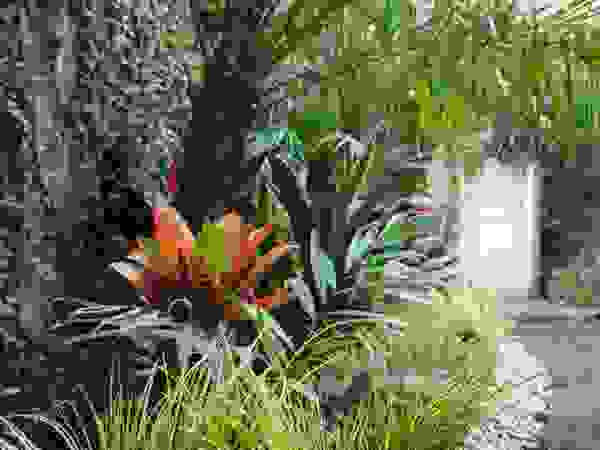 Estudio Nicolas Pierry: Diseño en Arquitectura de Paisajes & Jardines Tropical style garden