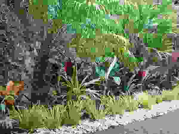 Estudio Nicolas Pierry: Diseño en Arquitectura de Paisajes & Jardines Tropical style garden