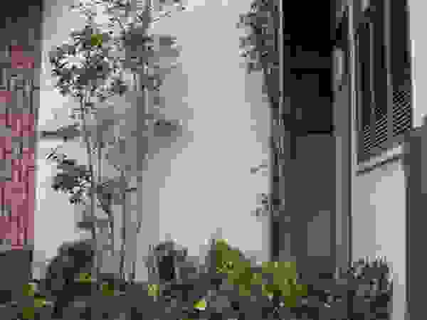 アーテック・にしかわ/アーテック一級建築士事務所 Eclectic style garden