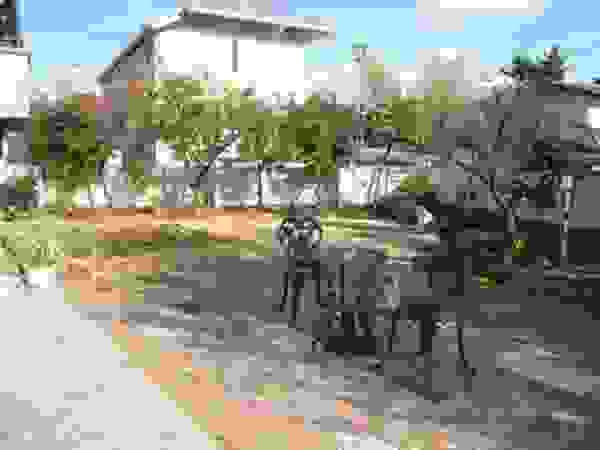 アーテック・にしかわ/アーテック一級建築士事務所 Eclectic style garden